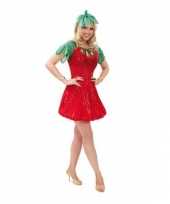 Carnavalskleding aardbeien pak dames online