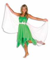 Carnavalskleding elfjes jurk groen dames online