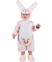Carnavalskleding roze konijntjespak babys online