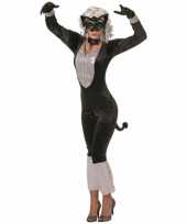 Carnavalskleding sexy katten dames online