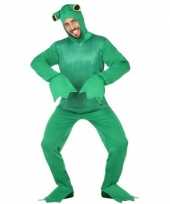 Groene kikker verkleed carnavalskleding dames heren online